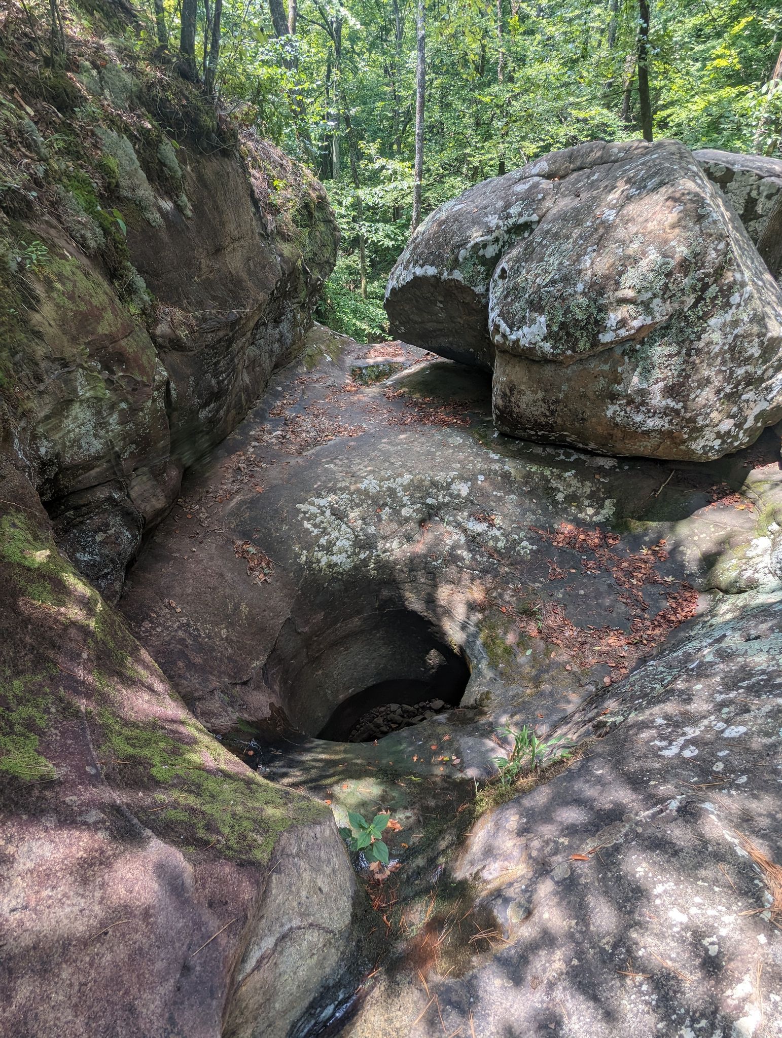 Photos of Glory Hole Waterfall Trail - Arkansas | AllTrails