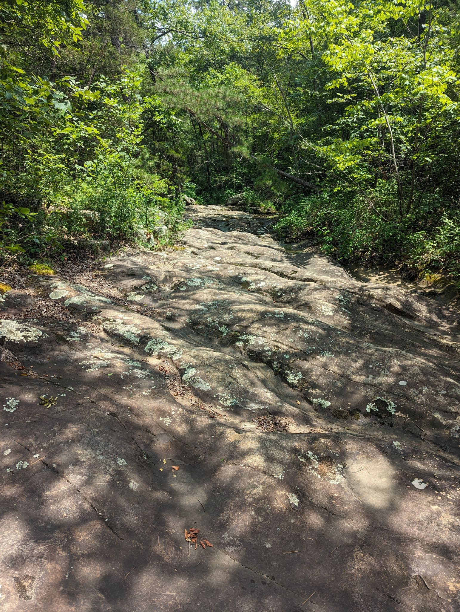 Photos of Glory Hole Waterfall Trail - Arkansas | AllTrails