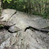 Sunset Ridge and Long Trail Loop, Vermont - 1,360 Reviews, Map | AllTrails
