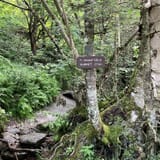 Sunset Ridge and Long Trail Loop, Vermont - 1,406 Reviews, Map | AllTrails