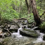 Sunset Ridge and Long Trail Loop, Vermont - 1,406 Reviews, Map | AllTrails