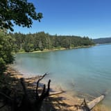 Hagg Lake Trail Section H, Oregon - 251 Reviews, Map | AllTrails