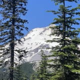 Elk Meadows South Trail, Oregon - 513 Reviews, Map | AllTrails