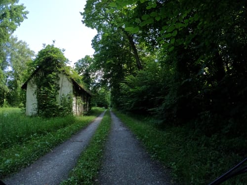 Altrhein-Hardtwald Radtour
