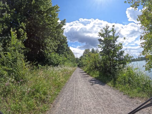 Altrhein-Hardtwald Radtour