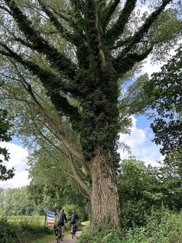 Noorwanderweg