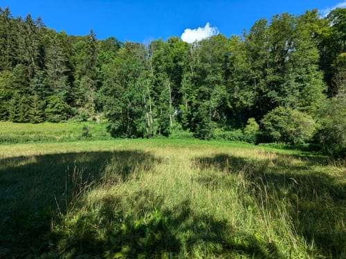 Premiumwanderweg: Wilde Täler - Fürstliche Höhen