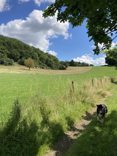 HeimatSpur Kleelandrunde