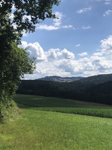 Pfreimdtal Uferpfad