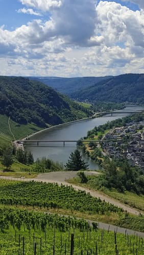 Panorama-Rundweg und Schiefer-Pfad Kröv