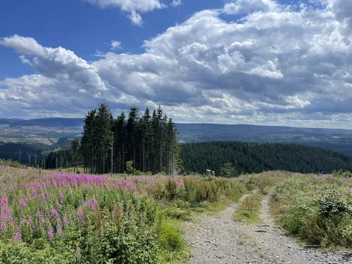 wechsel zelte berlin Trekkingzelt Trailrunner I Leichtgewichtszelt für 1,5 Personen I schnell aufbaubares Hybridzelt I kompakt & transportabel I ideales Outdoor- Zelt für Camping, Wandern, Radreisen, Kanu & Kajak Sport & Freizeit welding goggles shade 5 Size:M-EU/US Carp fishing tent 
