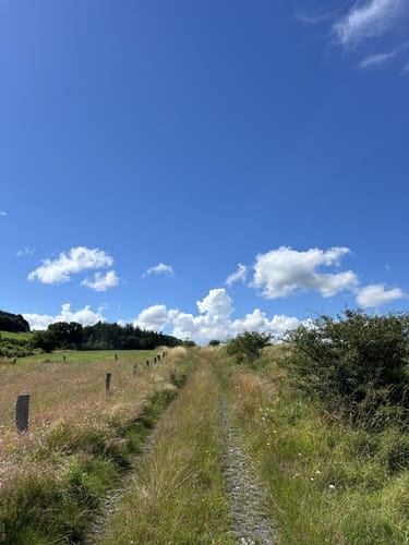Medebacher Bergweg (Fernwanderweg)