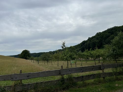 Naturshutzgebiet Nackberg