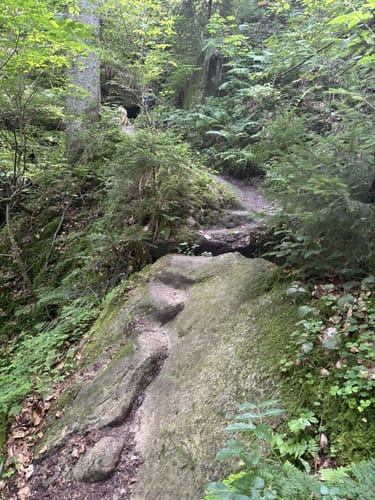 Schillergrotte - Hohler Stein - Kloster Lorch