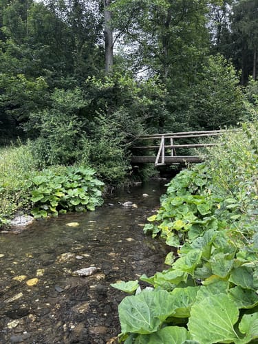 Starkenburg - Obere Starkenburger Mühle
