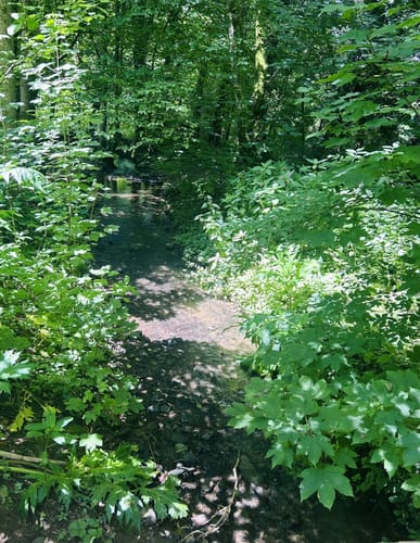 Aggerschleife (Marialinden)