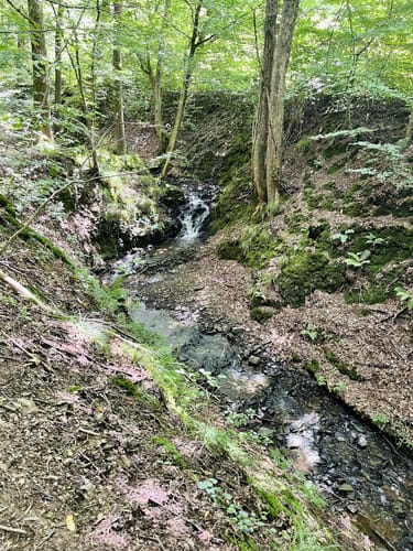 Aggerschleife (Marialinden)