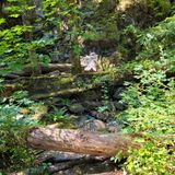 Christie Falls, British Columbia, Canada - 1,170 Reviews, Map | AllTrails