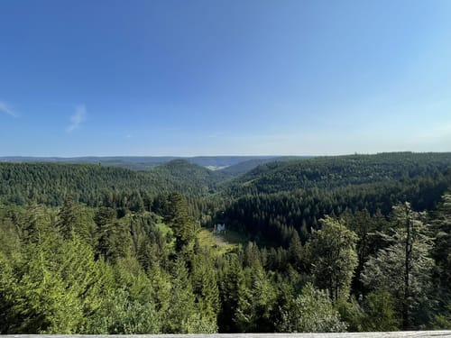 Rundweg: Kniebis - Ellbachsee