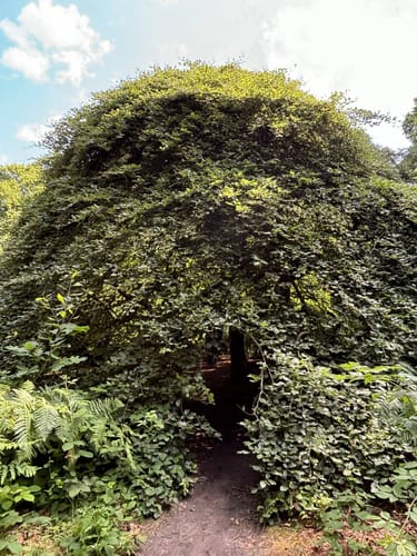 Semper Heide- Waldpark Semper