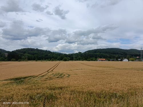 Biber Bäche Eichenwälder - Themen-Tour 1