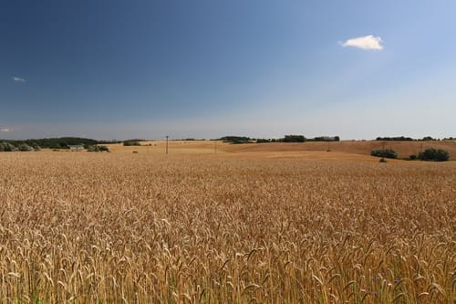 Retgendorf - Neu Schlagsdorf