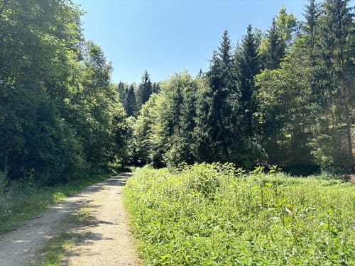 Sontheim - Eistalweg - Tiefental - Sontheimer Höhle