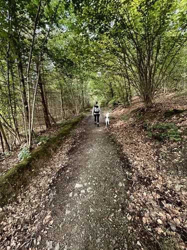 Rundweg A6: Eggenweg