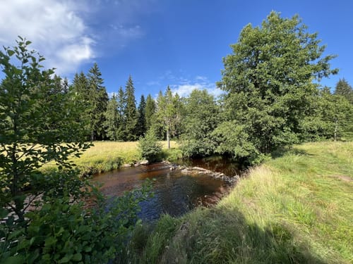 Rundweg Kreuzotter: Wandern durch Klosterfilz und Großer Filz