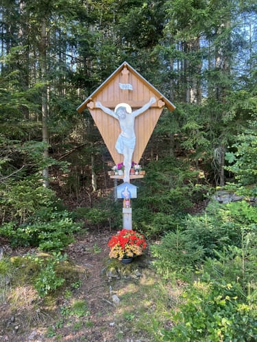 Rundweg Kreuzotter: Wandern durch Klosterfilz und Großer Filz