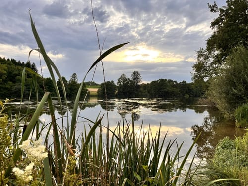 Schlierbachsee Runde