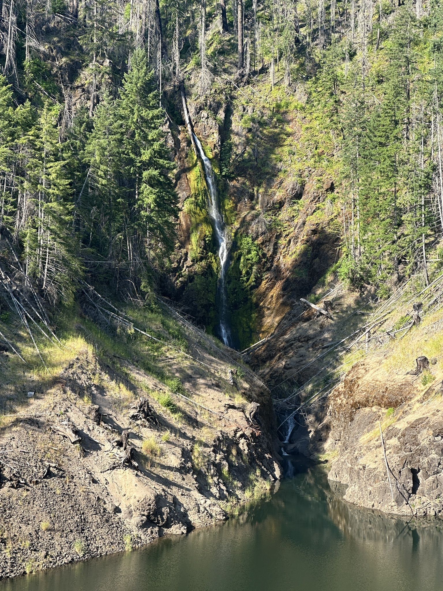 Photos of Terwilliger (Cougar) Hot Springs - Oregon | AllTrails