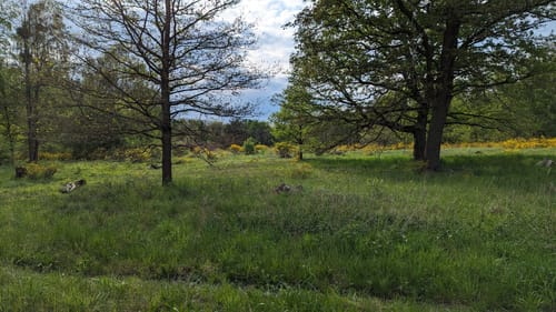 Döberitzer Heide Rundweg