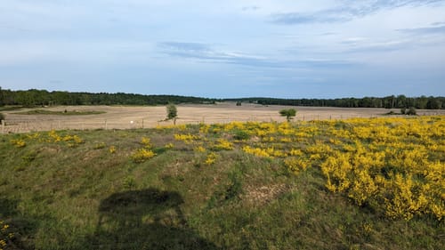 Döberitzer Heide Rundweg