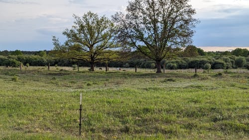 Döberitzer Heide Rundweg