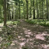 Nolde Forest Trail Pennsylvania - EyJidWNrZXQiOiJhc3NldHMuYWxsdHJhaWxzLmNvbSIsImtleSI6InVwbG9hZHMvcGhvdG8vaW1hZ2UvNzgwNDI2OTYvOGFkMWIwYzE0OWM2Yjc4MzJhMmYwMWUxNWQ3MTMzOWEuanBnIiwiZWRpdHMiOnsidG9Gb3JtYXQiOiJqcGVnIiwicmVzaXplIjp7IndpZHRoIjoxNjAsImhlaWdodCI6MTYwLCJmaXQiOiJjb3ZlciJ9LCJyb3RhdGUiOm51bGwsImpwZWciOnsidHJlbGxpc1F1YW50aXNhdGlvbiI6dHJ1ZSwib3ZlcnNob290RGVyaW5naW5nIjp0cnVlLCJvcHRpbWlzZVNjYW5zIjp0cnVlLCJxdWFudGlzYXRpb25UYWJsZSI6M319fQ==