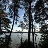 Cliff Pond Trail, Massachusetts - 1,561 Reviews, Map | AllTrails