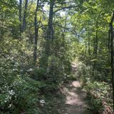 White Rock Falls Loop, Virginia - 1,178 Reviews, Map | AllTrails