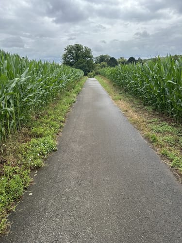 Nahe-Radweg Etappe 6: Bad Kreuznach - Bingen