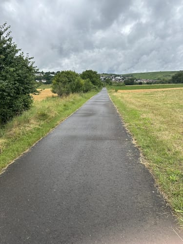 Nahe-Radweg Etappe 6: Bad Kreuznach - Bingen