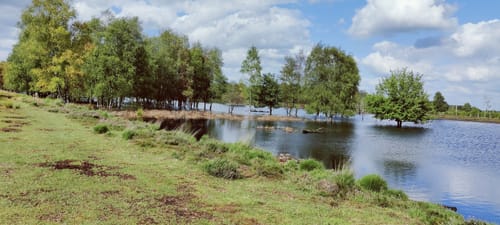 Natuurommetje Bargerveen