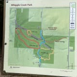 Whipple Creek Park Loop Trail, Washington - 1,927 Reviews, Map | AllTrails