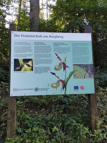 Kleiner Everstein, Großer Everstein und Burgberg