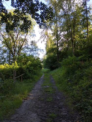 Kleiner Everstein, Großer Everstein und Burgberg