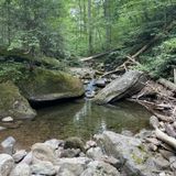 Mount Tammany via Red Dot and Blue Dot Loop Trail, New Jersey - 13,764 ...