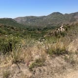 Whiting Ranch Trail, California - 1,841 Reviews, Map | AllTrails