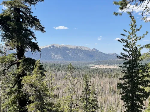 Mountain view  山の景色 Mountain View Trail, California - 238 Reviews, Map | AllTrails