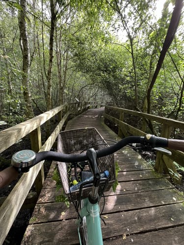 Steinhuder Meer Rundweg