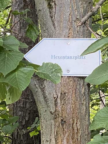 An der Rudolstädter Riviera und um das LSG Kulm