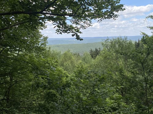 An der Rudolstädter Riviera und um das LSG Kulm